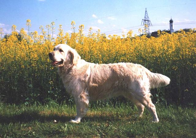 Candy030.jpg - Candy Kisses