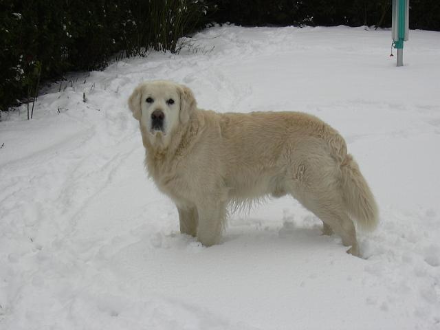 Chad_001.jpg - Cheeky Chad