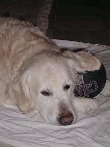 Chuck2.JPG - Chatty Chuck