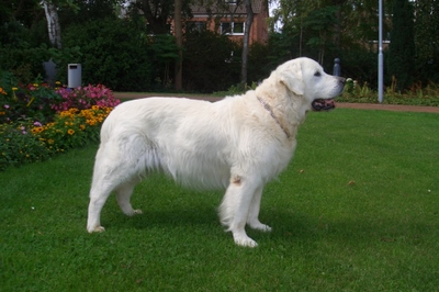 Cue5.jpg - Call Me Cue