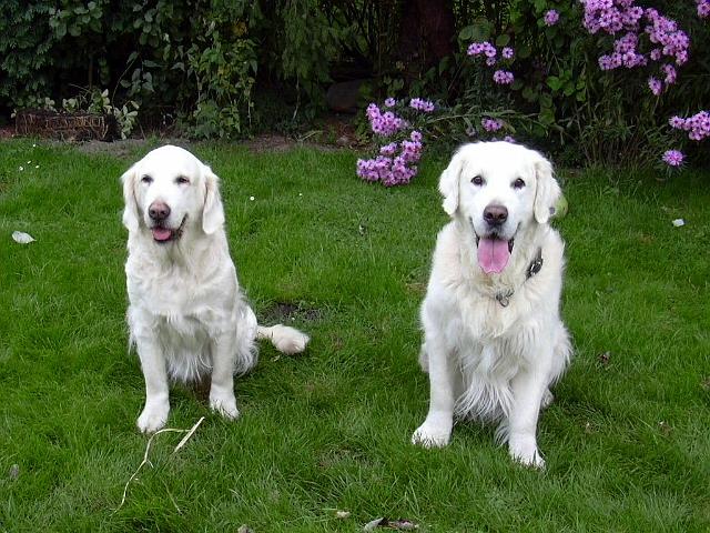 DSCN1306.jpg - Anjuli mit Sohn Chad