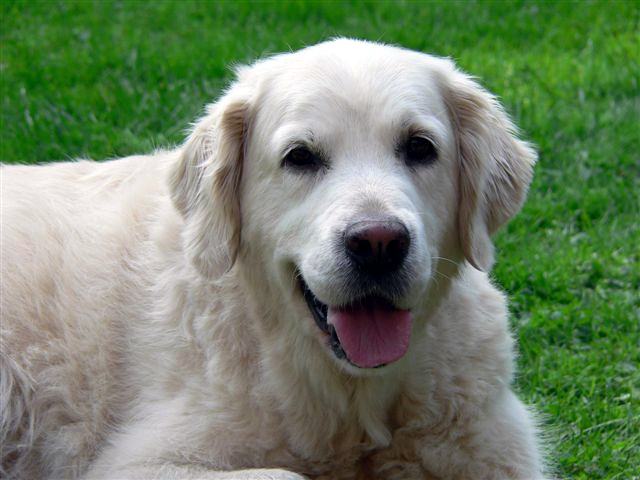 Melly2.jpg - Charming Melody