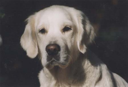 Melody.jpeg - Melody